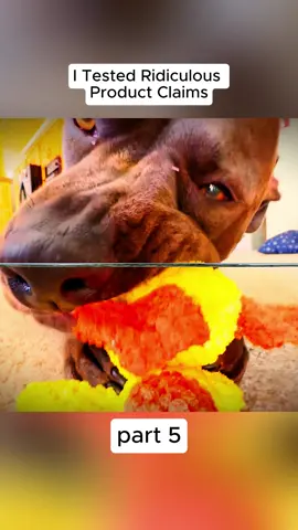 I Tested Ridiculous Product Claims