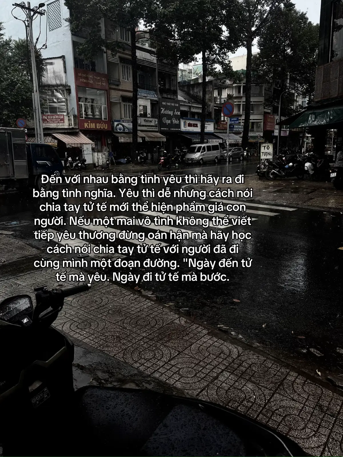 #fyp #xuhuong #trantienanh🧸 