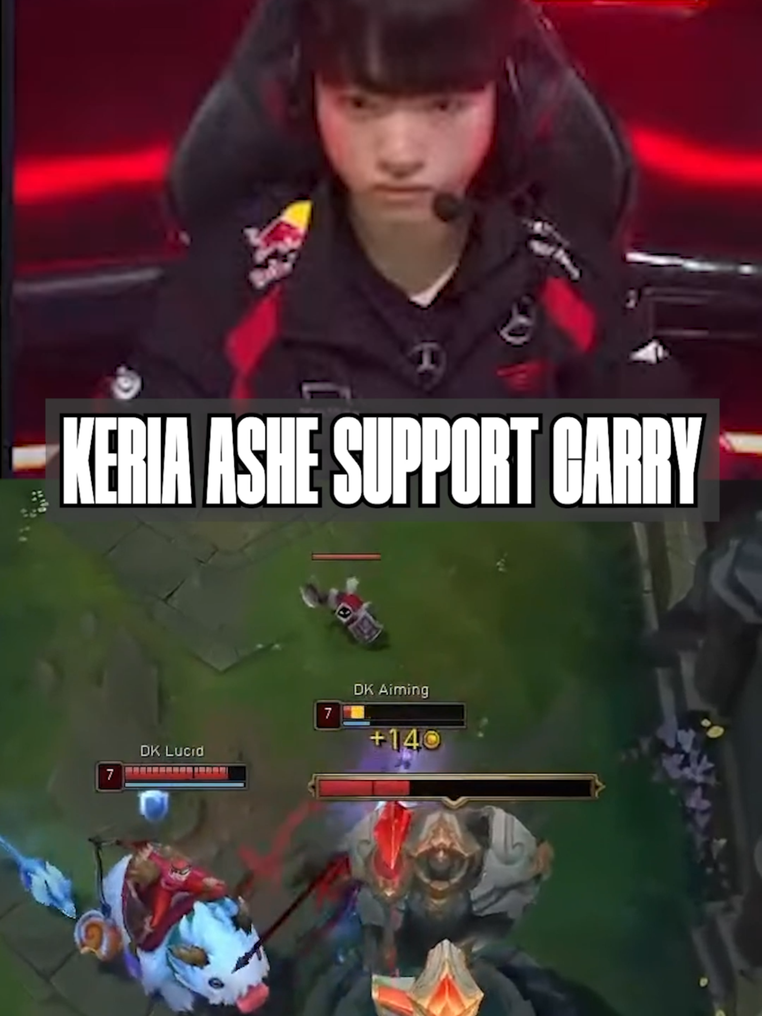 KERIA ASHE SUPPORT CARRY
