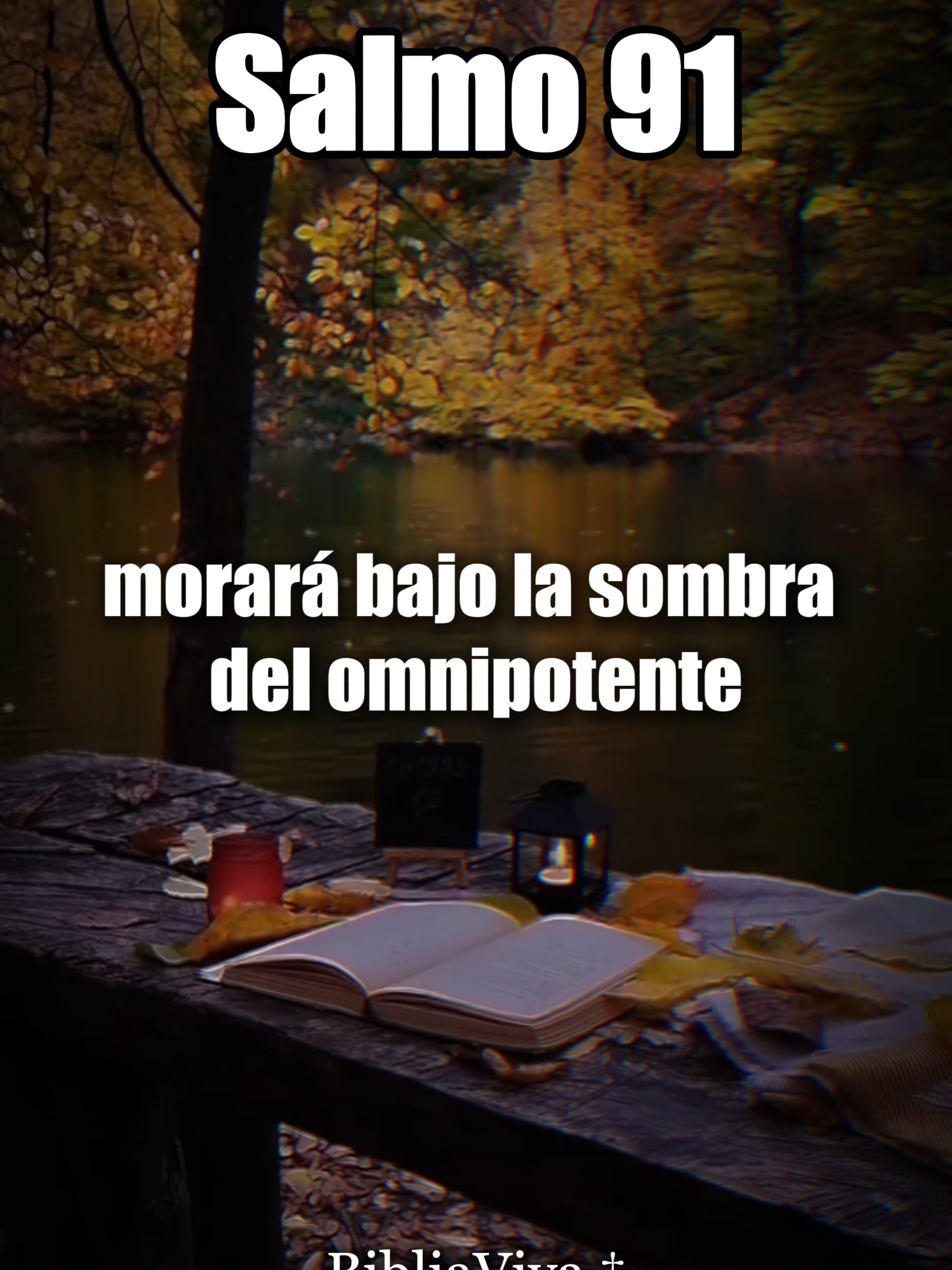 Salmo 91 Completo 🙏 | Oración de Protección y Confianza en Dios #CristianosTikTok #Salmo91 #FYP #ProtecciónDeDios #OraciónPoderosa #MensajeDeFe #BibliaVersículos