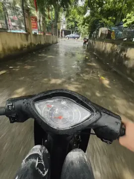 Năm dài tháng rộng như vậy, ai chả có vài ngày thật buồn.Đường trần dài như thế,ai mà chả có bước chân đi sai #xuhuong #xuhuongtiktok #viral 