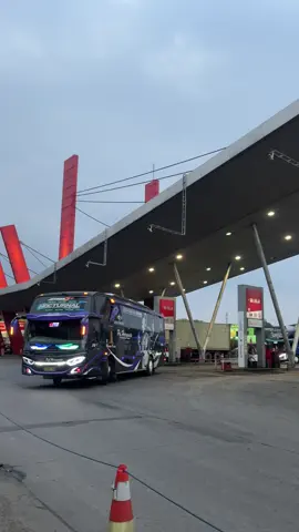 Nocturnal elegan style gak perlu banyak variasi sedikit tapi enak dilihat #poharyanto #haryantomania #bus 