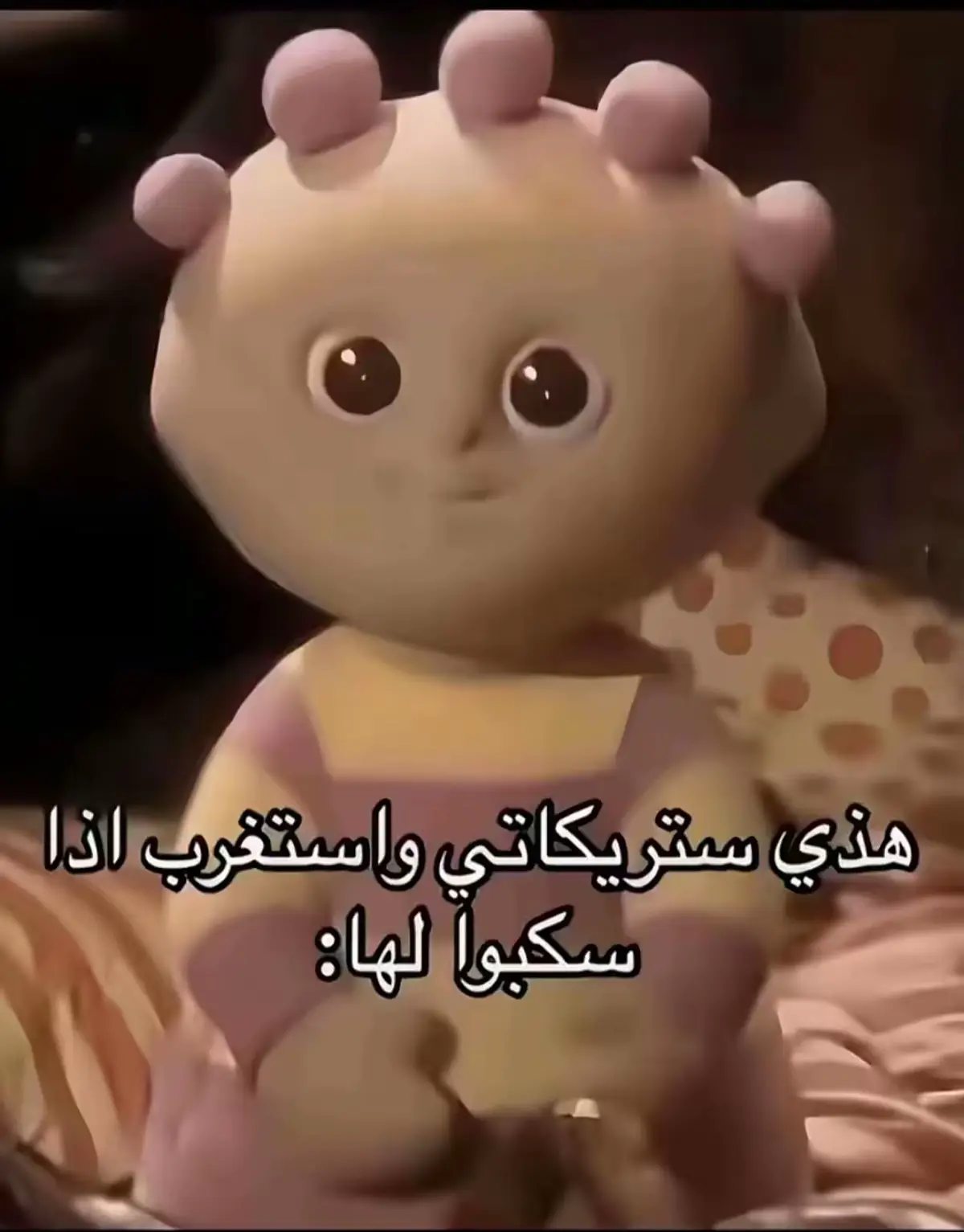 #بريده #ستريك #القصيم #القصيم_بريده_عنيزه_الرس_البكيرية #تصوير 