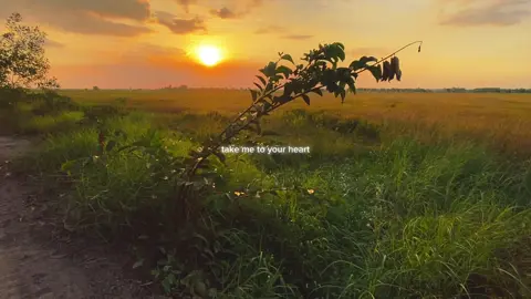 #CapCut Take Me To Your Heart . #radio #vibes #memories #takemetoyourheart 