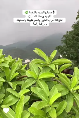 #مشاهدات #قران 