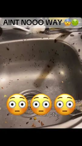 #fup #viral_video #wtf 