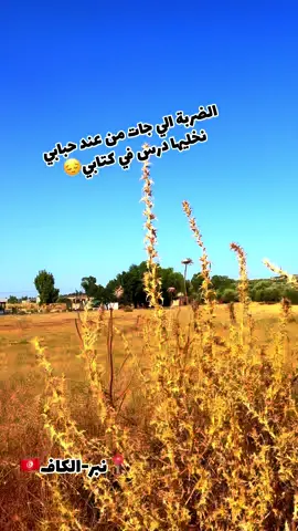 #الريف #الكاف_مدن_و_ارياف_ريحة_البلاد #الكاف #اكسبلور #fypシ゚ 🥹💔🥀🇹🇳🇹🇳🇹🇳