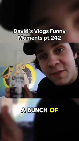 #foryoupage #fyp #daviddobrik #davidsvlogs #vlogsquad #funny 