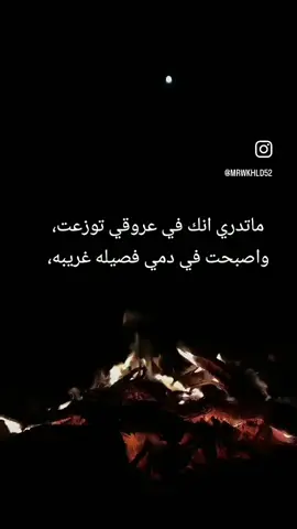#اكسبلور 