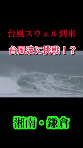 湘南に届いた台風スウェルでサーフィン！？　#surfing #サーフィン #湘南 