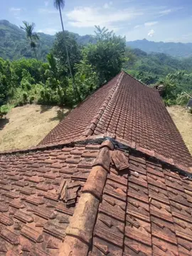 Ở phố cũng vui đấy nhma Mọi người phải tranh nhau đấu đá vì tiền.. Ở quê thì khổ thiệt nhưng được cái bình yên mọi người hoà đồng zuii zẻ với nhau 🥰 #xuhuongtiktok #fyp 