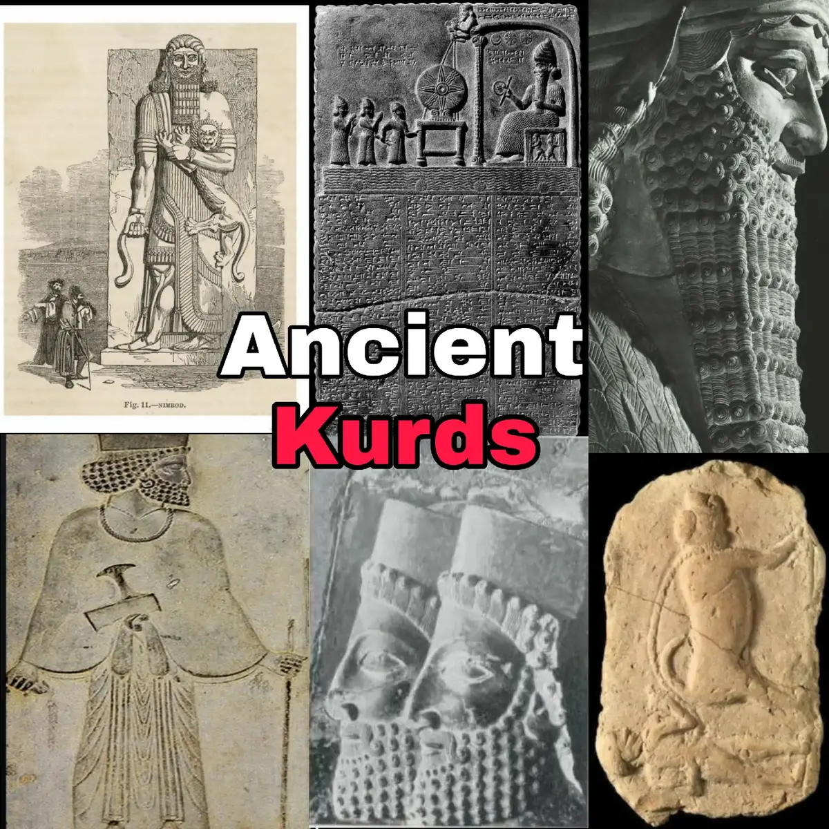 #fyp #fyyp #fyyyyyyyyyyyyyyyy #viral #xyzbca 