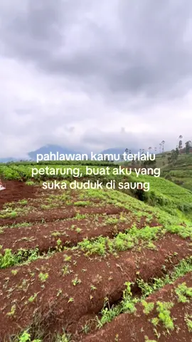 akuma dudukkweee ' #petaniindonesia🇮🇩🇮🇩🇮🇩🌿🌿 #promomakanmerdeka #petanimuda #petani #petanimilenial #petanimodern #petanisukses #wongtani #foryoupage #fypシ゚ #fypシ゚ #xybca #fyppppppppppppppppppppppp 