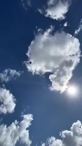 Layangan gapangan pegon ceper spek sukhoi bolo , ready puoll #layanganpegon #pegonceper #layanganblitar #layangantulungagung #layangangapangan 