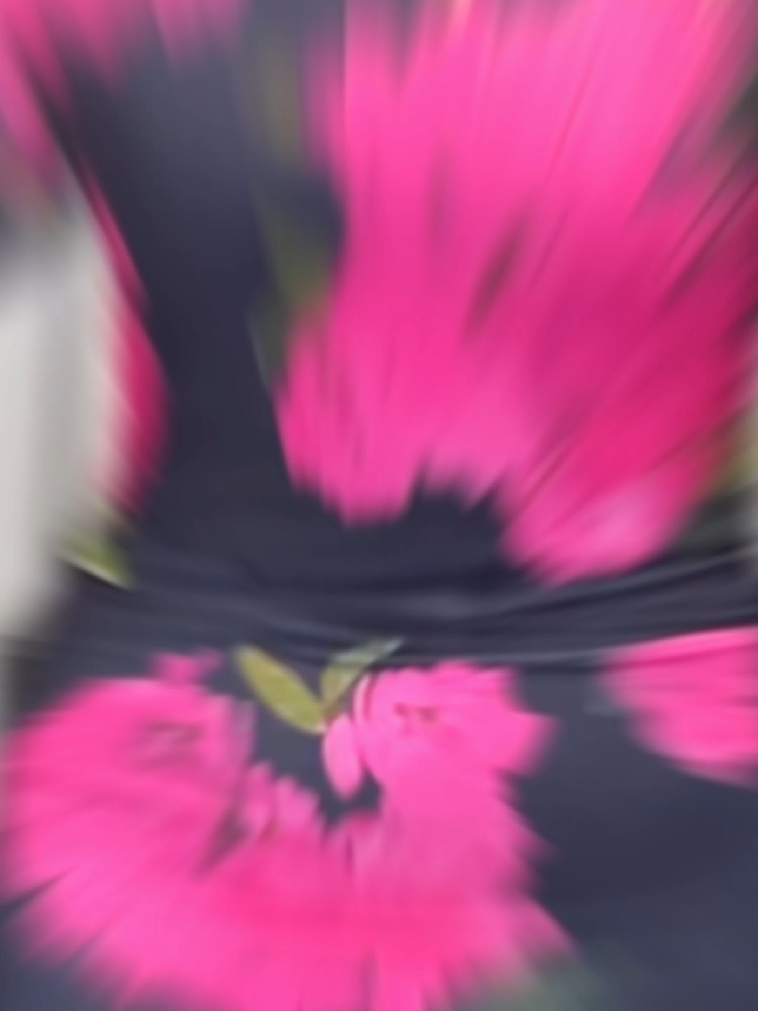 Blooming patterns dance acrossBlooming patterns dance across this lightweight knit, offering both ventilation and silhouette-enhancing magic for sun-drenched days. this lightweight knit, offering both ventilation and silhouette-enhancing magic for sun-drenched days.#ChicMe #vibewithus #fyp #summervibes #womanpower #chicmefashion #ootds #vibes #dresses #fashion #ootdfashion