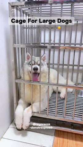 Stainless steel heavy duty dog cage  #dogcage #largedogcage #heavydutycage #cage #reynrecos 