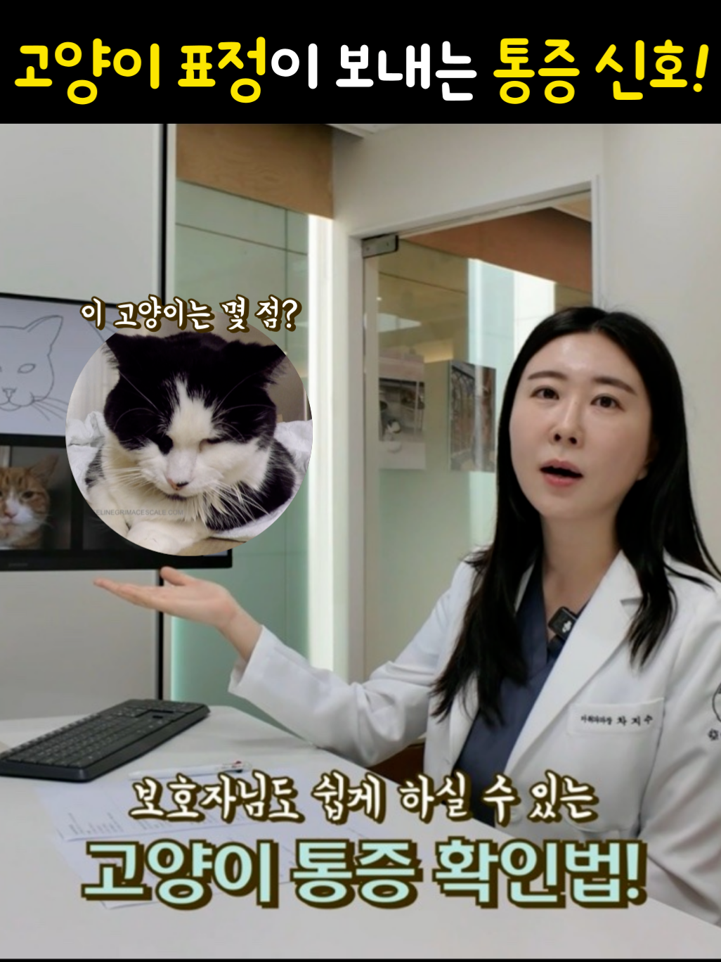 고양이 표정만 봐도 아픈지 알 수 있다고?🐱 약한 모습을 보이고 싶지 않아 아파도 잘 티 내지 않는 우리 고양이들... 그래서, 보호자님도 집에서 쉽게 하실 수 있는 고양이 통증 확인법 5가지🖐️! #VIP동물의료센터청담점  마취통증의학과 차지수 과장님과 알아봤다냥~ ✔️귀 모양 ✔️입 모양 ✔️눈 모양 ✔️수염 위치 ✔️머리 위치로  통증 점수를 체크해 보세요~ 총 몇 점 이상이면  통증이 있다고 볼 수 있을까요? 영상으로 확인해 주세요! . . 보호자가 아이의 통증을 잘 알아차리는 것은 빠른 치료에 큰 도움이 됩니다! 고양이의 표정이 보내는 신호, 놓치지 마시고 오늘부터 더 잘 살펴주세요😻 #고양이#고양이표정 #CAT #귀여운고양이 #냥이 #고양이스타그램 #냥스타그램 #고양이수의사 #수의사 #고양이건강 #고양이병원 #VIP동물의료센터 #VIP동물병원 #강남동물병원 #24시동물병원