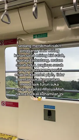 #foryoupage #trimester1 #masyaallahtabarakkallah #ceritabumil #ibuhamil #pregnancy 