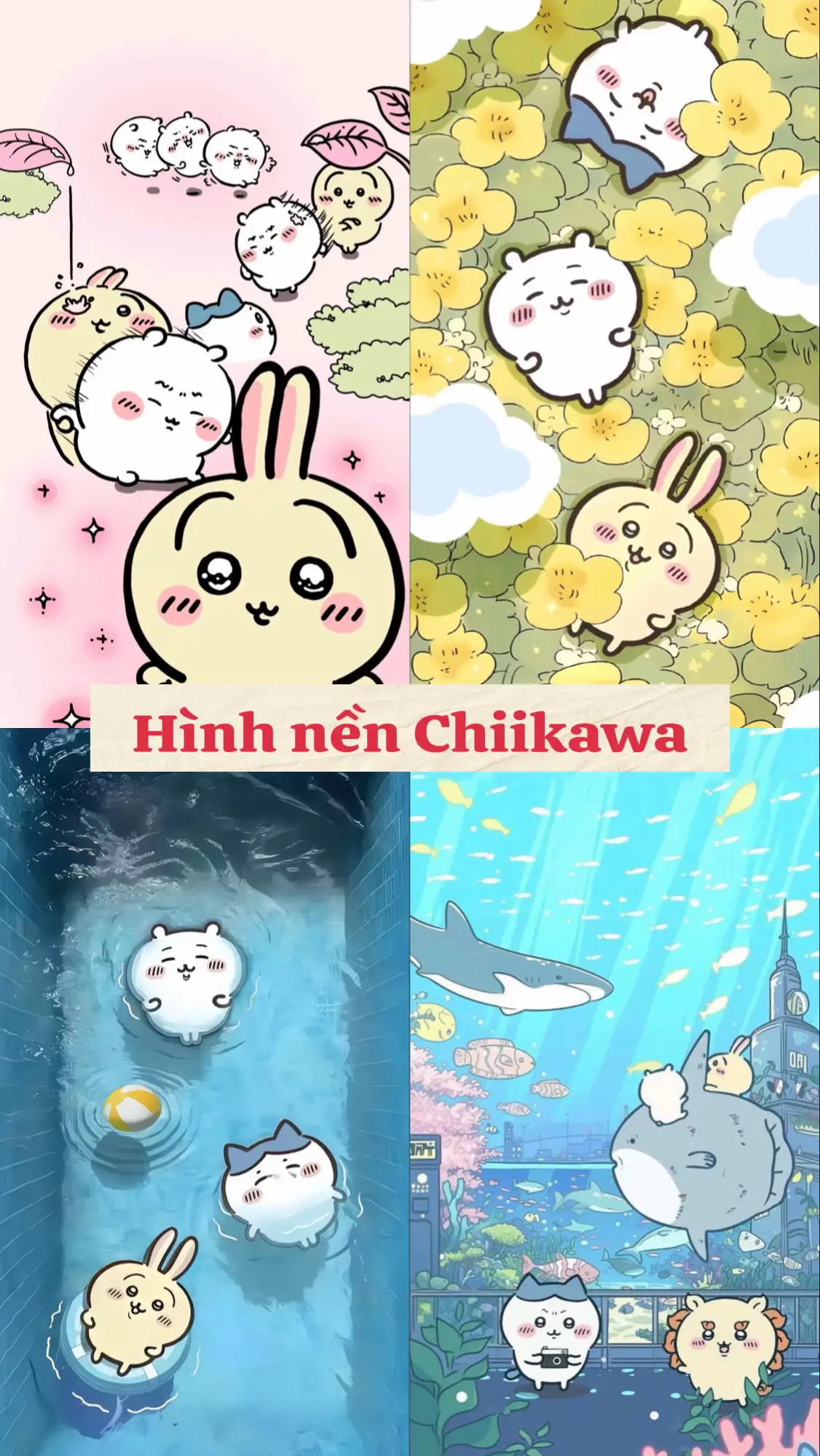 #chiikawa #chiikawaanime #usagi #hachi