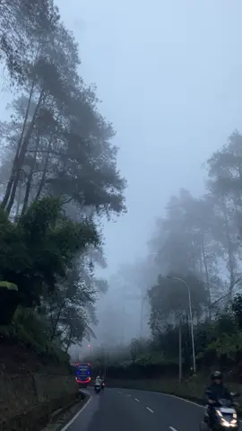 Cikole Lembang Sangat Syahdu Setelah Hujan Full Kabut MasyaAllah ENAKEUNNNN🥹😍 #vibes #cikole #lembang #bandung 