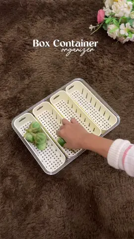 Box Container Organizer 🤩✨ Boxnya terbuat dari bahan pp tebal & kokoh, banyak variasi ukuran loh. Yuk buruan order sekarang 🤩🔔✨‼️‼️ #foryou #fyp #boxmakanan #foodcontainer #foodprep 