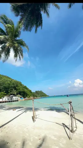 #CapCut Tôi đã tạo video tuyệt vời này bằng CapCut. Hãy nhấn vào liên kết để dùng thử: capcut.com/tools/desktop-video-editor