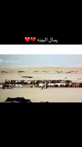 #طريف_الحدودالشماليه #القريات_الشمال_الجوف #الرويلي #سعود_عبدالله_الرويلي #صليبي_صيفي_الرويلي