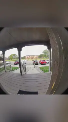 Trying Not to Laugh While Running for My Life! (Dog Chase!) #jet2holidays #funny #funnyvideos