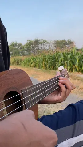 Tess Ukulele cowboy 23 inc #ukulele #kentrung 