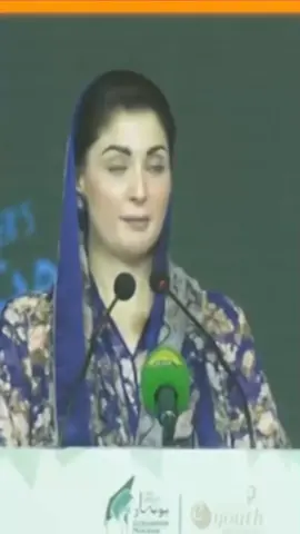 Huge investment of CM Punjab