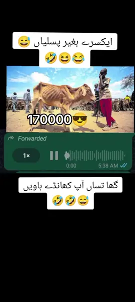 گھا تساں آپ کھانڈے🤣😂#foryou #hajimorayala 