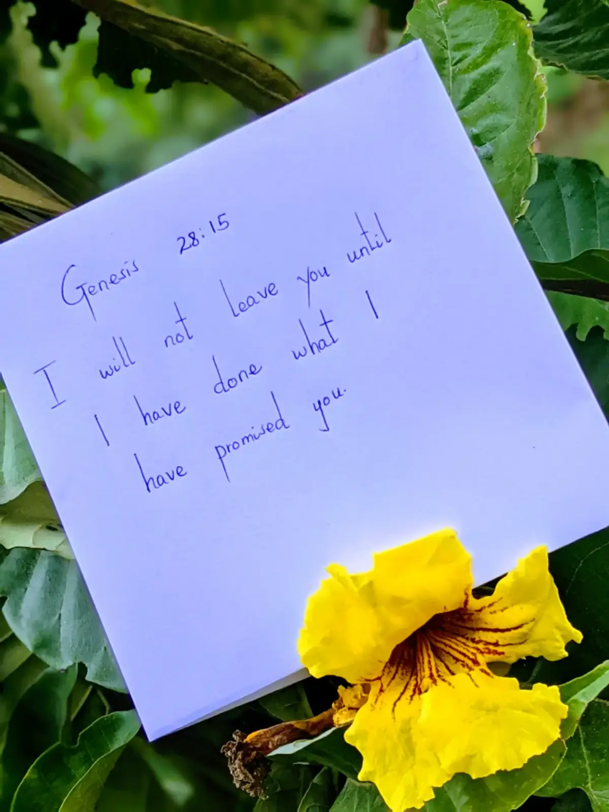 God's promise is sure, He won't leave until His word is fulfilled.Trust the process and keep the faith 🙏.  #trusthistiming #hopeingod #godspromise #blessingontheway #faithjourney #promisekeeper #genesis28v15 #handwrittenscripture #bibleverse #faithoverfear #trustgod #godiswithyou #bibleinspiration 