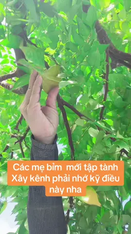 Chúc cho chị em chúc mình thành công.   Kiên trì có gắng không bỏ cuộc  nha mấy bà#mebimxaykenh #mebimxaykenhtiktok #cuôcsongthuongngay #tiepthilienkettikokshop 