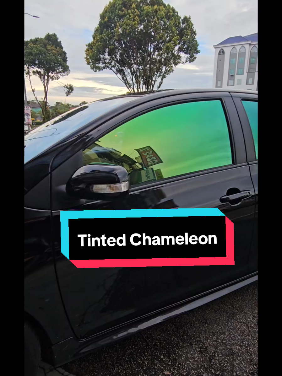 Tinted Chameleon Biru,Hijau,Purple,Merah #chameleontint #tintedchameleon #chameleon #tinted #77car 