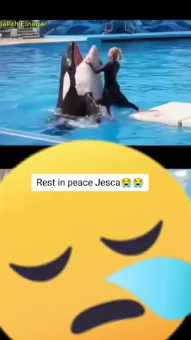 #Rest in peace Jesca 😭😭