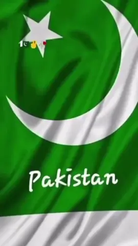 ##14august #creatorsearchinsights #foryou 
