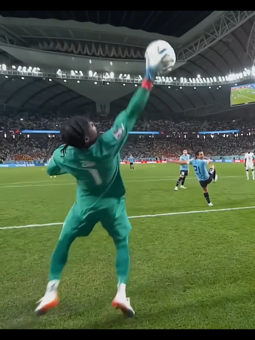 Amazing Goalkeepers Saves 