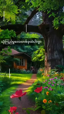 ##တို့လမ်းတို့ဆက်လျောက်မယ်  💞🌹💞💞🌹💞🌹💞🌹💞 ##ကြိုက်ခဲ့ရတဲ့သီချင်းလေးမို့😘😘 #တင်ခွင့်ပြုပါ 💞🤍💞 ##သီချင်းတွေကိုချစ်မြတ်နိုးသူ  #💞🎼💞🎵🎼💞🎵🎼💞🎼  🥰🥰ကြိုက်လို့ပါဗျာ🥰🥰🥰