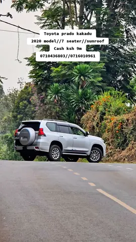 We are located along kiambu road at ridgeways, we do car sales,imports on behalf,Trade in and sell on behalf. Visit us for more enquiries,viewing and test drive Reach us through 0710436803 or 0716010961 #foryou #autopalace #kakadu  #followers #foryourpage                                                          