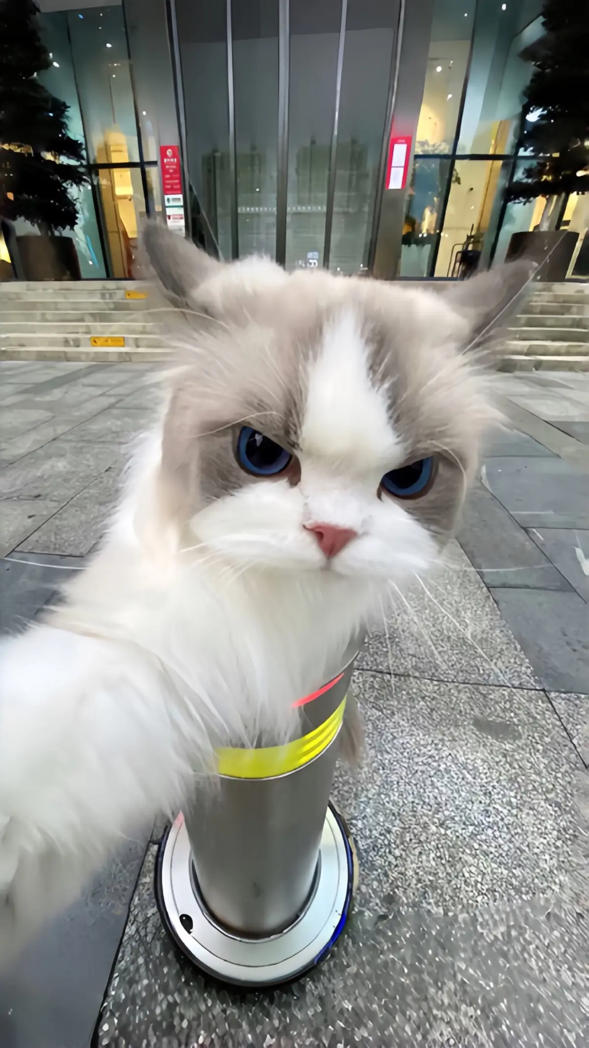 #cosplayer #douyin抖音 #douyin #fyp 