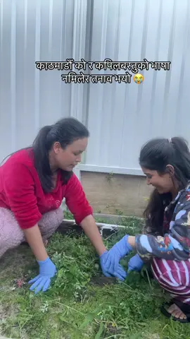 Bachelor of community service padhnna aako jindage agriculture garera jane vayo 😭 #westernaustralia #perth #nepali #fyp 
