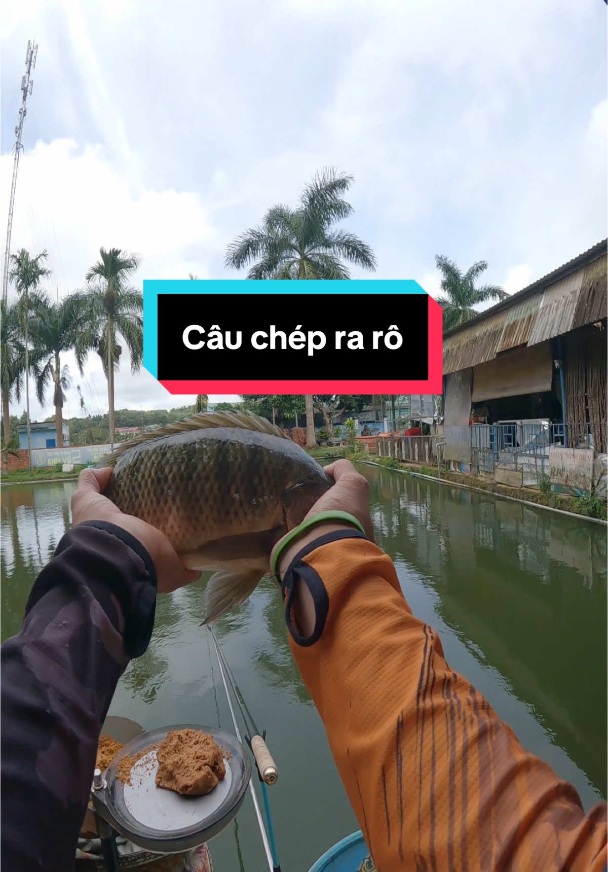 Phiêu #utnghiakontum #cauca #caudai #fishing @Út Nghĩa Kon Tum 