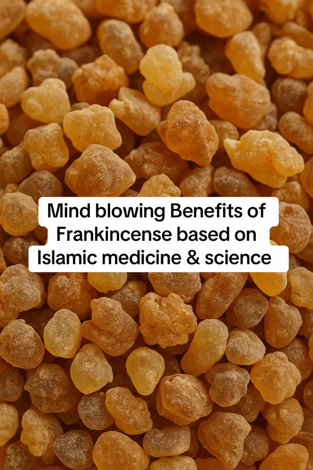Link in bio to Organic Frankincense Over 700 years ago, Ibn al-Qayyim praised frankincense for memory, digestion, and overall health. Today, science confirms its power  from protecting the brain to reducing inflammation. This is more than history… it’s timeless healing. #sunnah #islamiceducation #frankincense #memory #brainhealth 