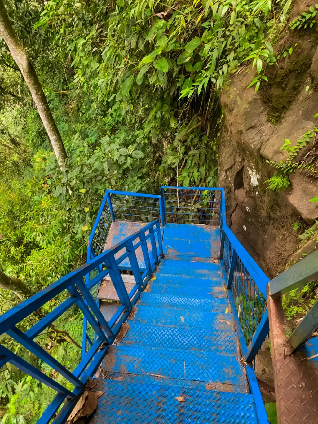 #fotogeser #fyp #airterjunkapasbiru #pronojiwo #lumajang 