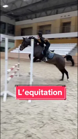 Envoie à ta/ton pote qui fait ce sport 👀#equitation #sport #equitationpassion 