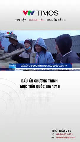 Qua hơn 4 năm thực thi, Chương trình mục tiêu quốc gia 1719 đã tạo nên dấu ấn nổi bật về kinh tế, xã hội cho các địa bàn khó khăn. #vtvtimes #vtvonline #vtvonair #news #tintuc 