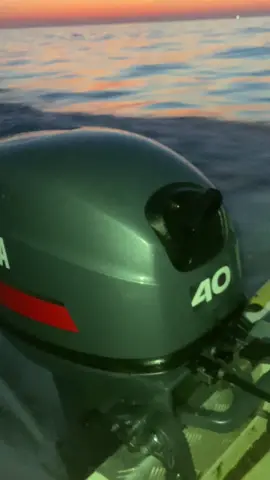 Amani fadi#شعب_الصيني_ماله_حل😂😂 #portoiiiiiiiiiiiiiiiiiiiiiiiiiiiiiiiii #Summer #yamaha #ouroupa_espan🇪🇺🇪🇸⚓🌊 