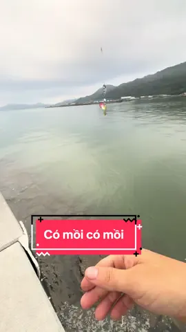 Câu cá giả #fishing 
