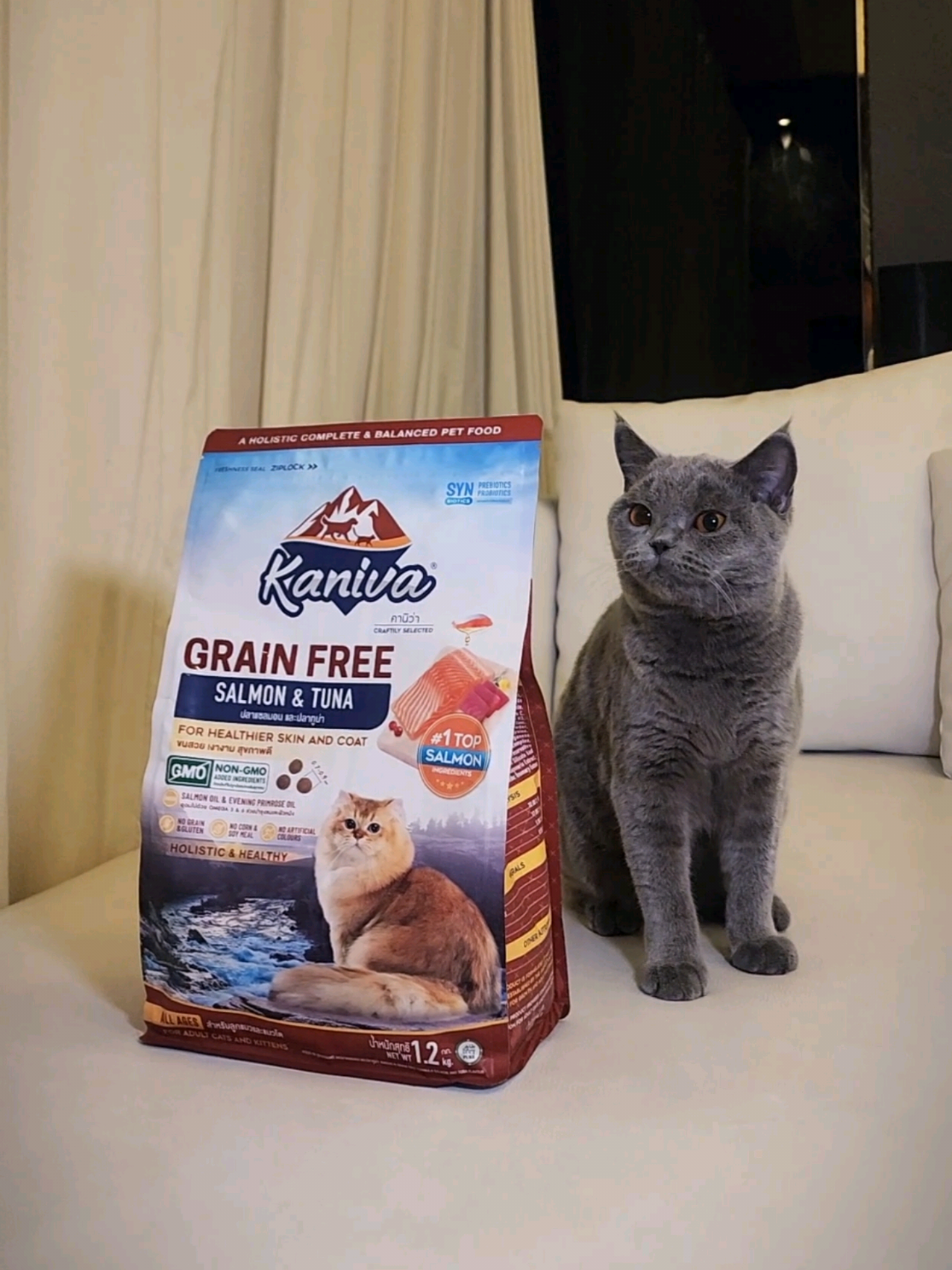 🐾 Pernah baca tulisan NON GMO di makanan anabul? NON GMO artinya bebas dari Genetically Modified Organism alias Rekayasa Genetika ✨ Kenapa penting? Karena GMO bisa berisiko bikin gangguan pencernaan, alergi, dan efek jangka panjang yang kurang baik buat kesehatan kucing. Makanya Mao2 cuma makan yang sehat & alami 💗 Salah satunya dry food ini = Kaniva  ✅ NON GMO ✅ Aroma enak, rasa enak ✅ Tersedia creamy treats, wet food, dan dry food Mao2 aja lahap banget makannya! Kasih makanan enak itu wajib, tapi yang sehat itu prioritas 💯 #maomaothebritish #mikaelyuriadi #kaniva #kanivacatfood 