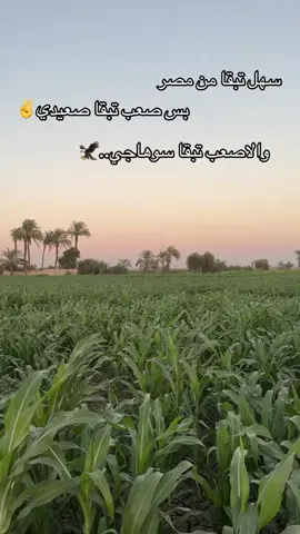 #سوهاج#الجلاويةــسوهاج #صعيدي_وافتخر👳🏻‍♂️#fyp #foryou 